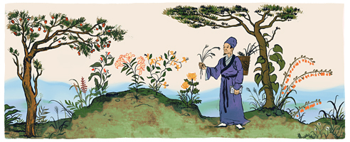 Li shizhen's Birthday 495